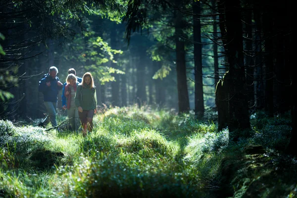 Familie gemeinsam im Wald unterwegs