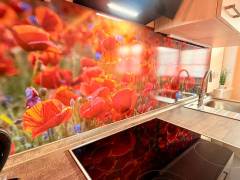 Ferienwohnung Mohnwiese – Bild 3
