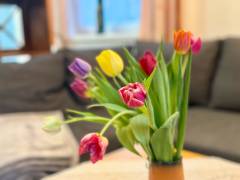 IMG-20250212-WA0024.jpg